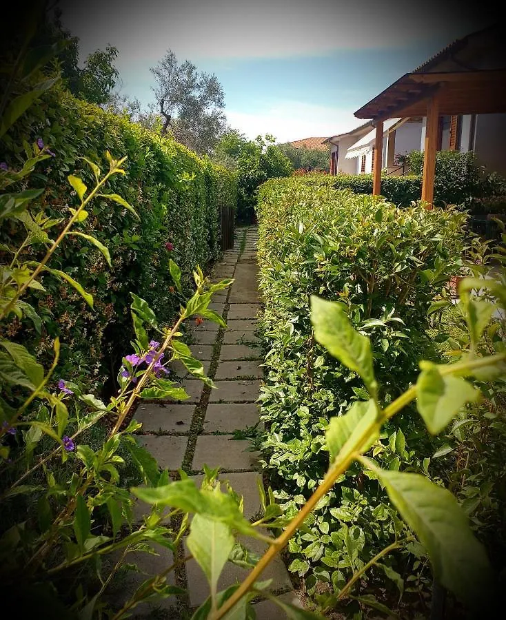 Vacanze Maria Stella Pescia Romana 0*,  Italia
